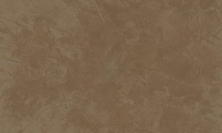 Decorazza STUCCO VENEZIANO / Цвет #SV  10-66